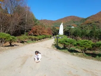 천진암 흰민들레 백양자연관찰로 괭이눈 개화_6