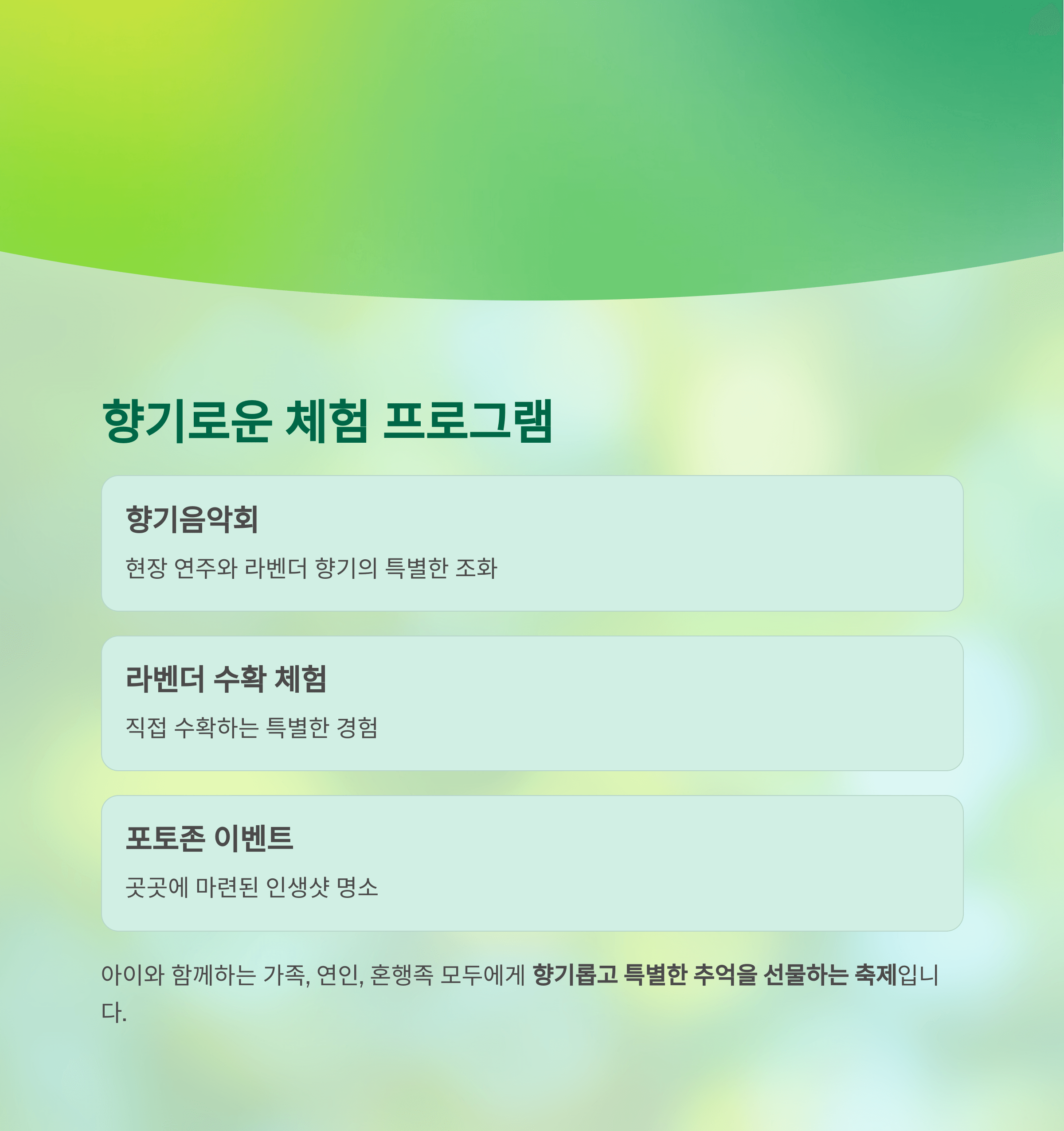 고성 라벤더 축제의 체험 프로그램 안내 - 향기음악회, 수확 체험, 포토존 이벤트