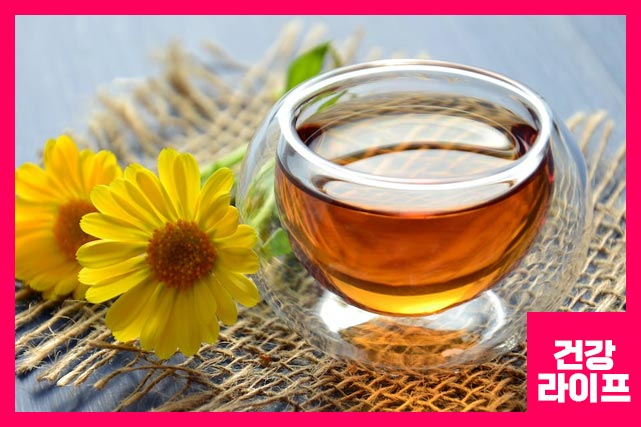 비염에 좋은 차 종류