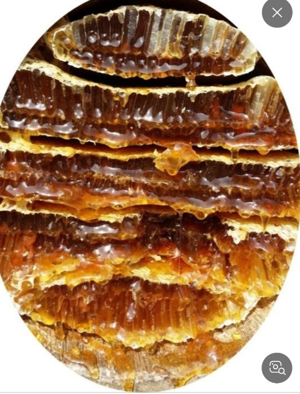 한국기행-토종꿀-삼척