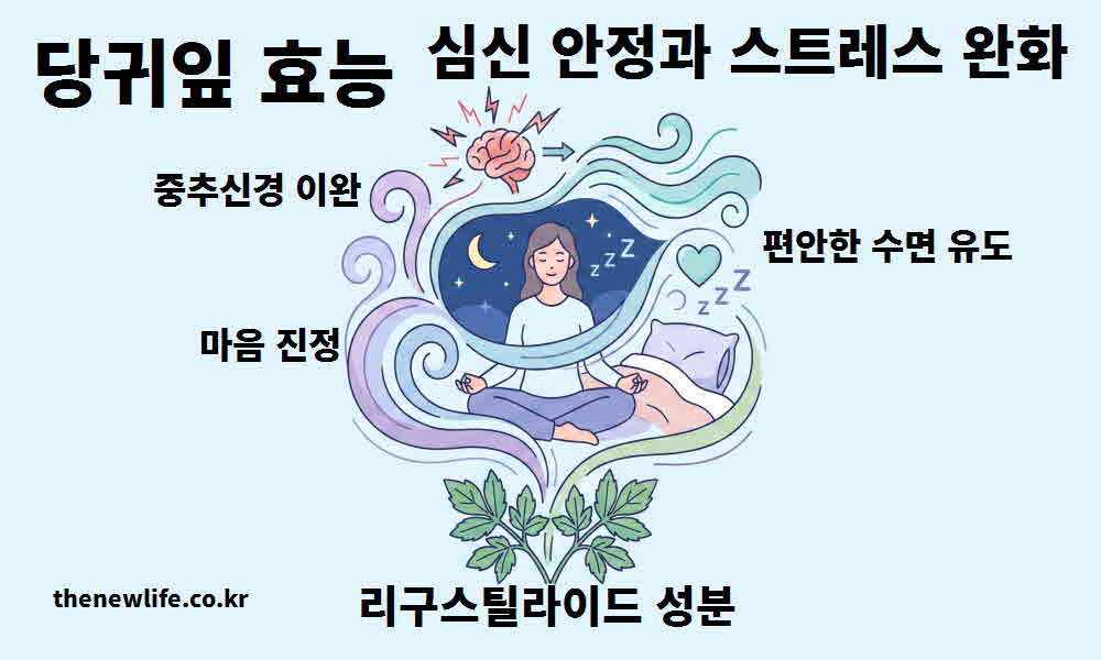 당귀잎 효능 심신 안정 스트레스 완화