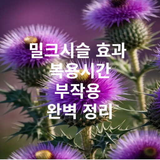 밀크시슬 효과 복용 시간 부작용