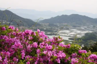 남원 봉화산 철쭉 산행 주차장 등산코스_29