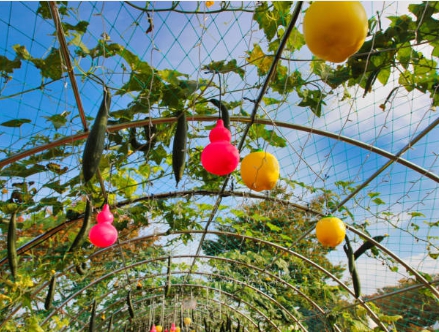 연인과 꽃을 보며 찍은 사진