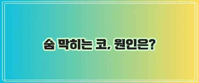 혈관운동성 비염 예방과 치료 방법은 필수입니다!