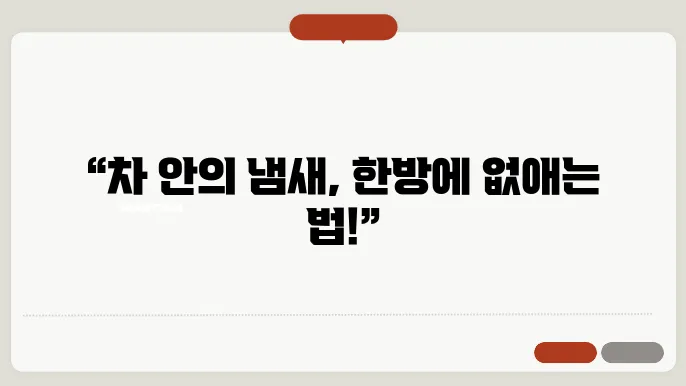 차 안 냄새 제거하는 법