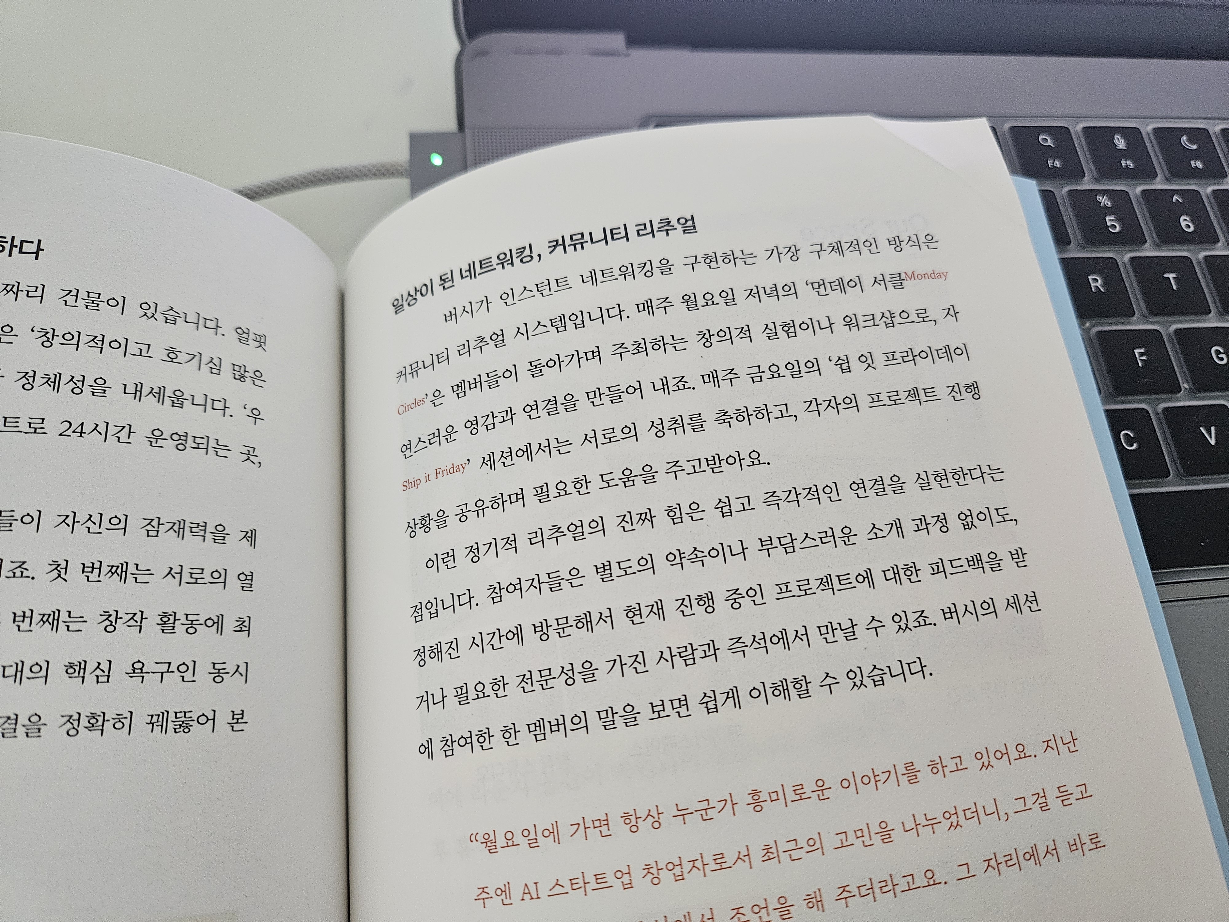 브랜드코드 베타라이프 데이터 리추얼