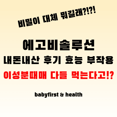 에고비솔루션