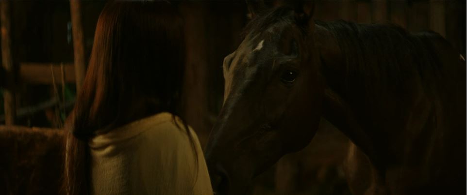 아라문의검_1회