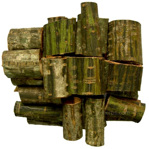 벌나무(산청목) 가지 껍질