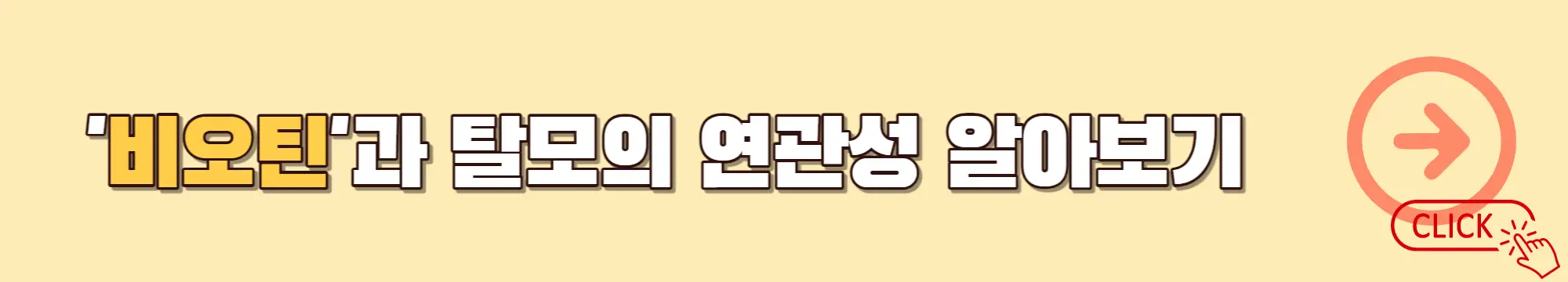 비오틴-탈모