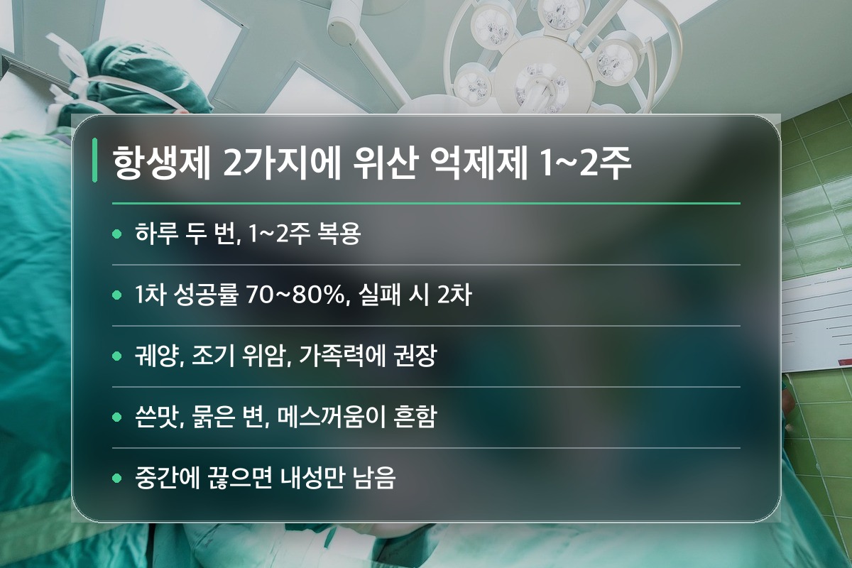 위내시경 헬리코박터 양성, 제균 치료는 어떻게 진행되나요?