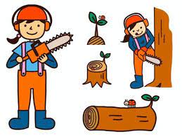 임업경영체 등록의 혜택