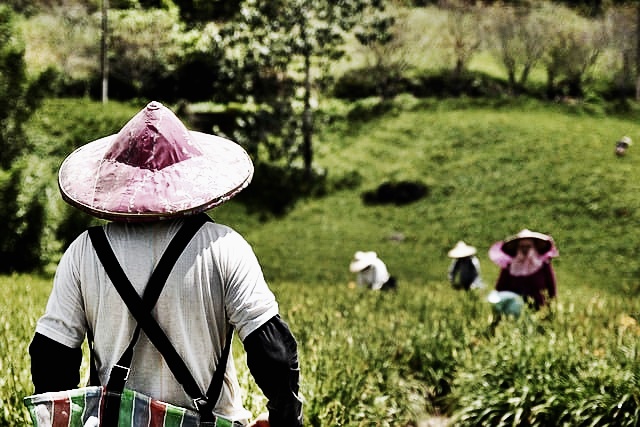 2024년 기본형 공익직불금 신청방법