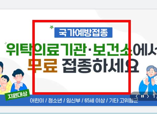 75세이상 독감 예방접종 대상, 시기 알아보기