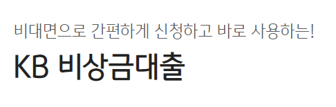 국민은행 비상금대출