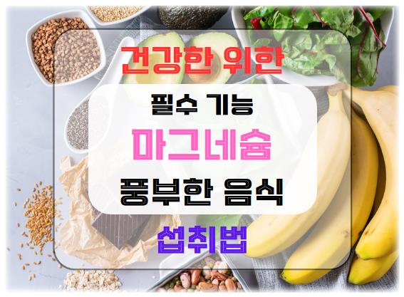 마그네슘의 필수 기능과 풍부한 음식 원천, 건강을 위한 섭취법