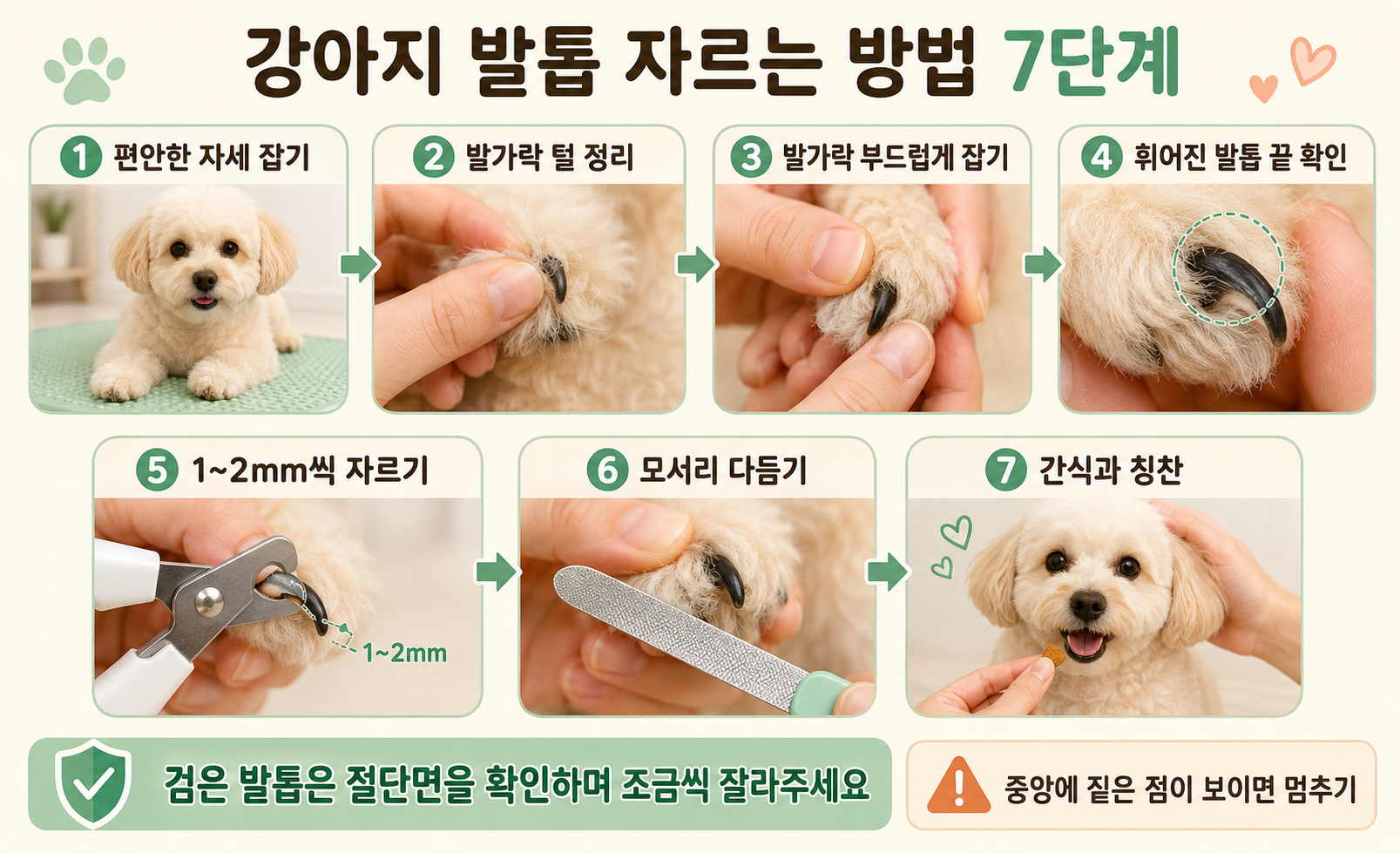 강아지 발톱을 1~2mm씩 안전하게 자르는 7단계 방법과 검은 발톱 혈관 확인법