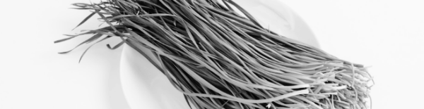 부추 수확시기: 판단 기준