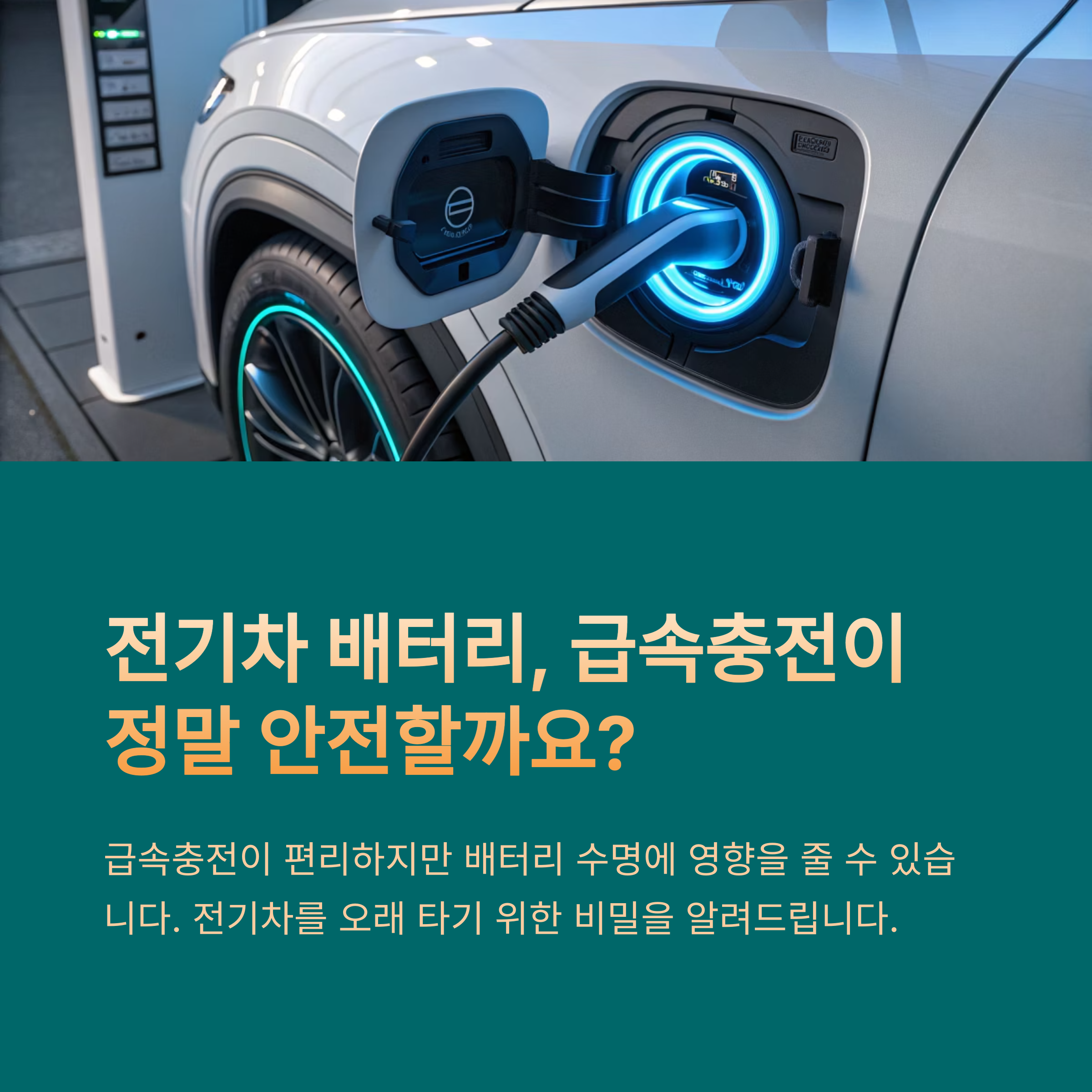 전기차 관리법