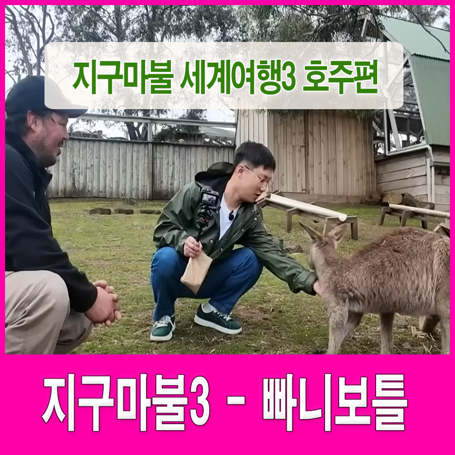 지구마불세계여행3 빠니보틀 - 호주편
