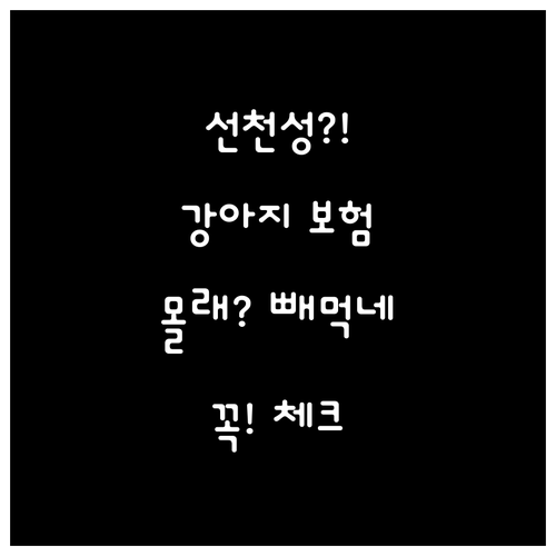 선천성 질환 강아지 보험 가입 전 알..