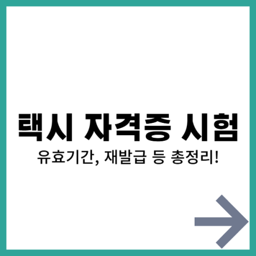 택시 자격증 시험