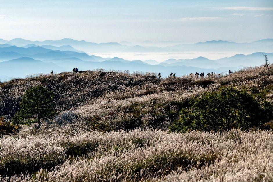 황매산 억새축제 2025, 합천 하늘정원에서 즐기는 가을축제
