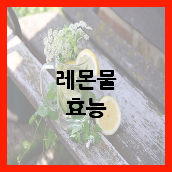 레문물 효능