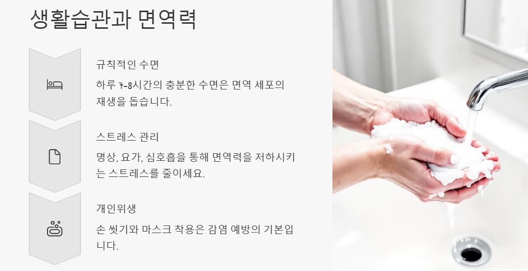 면역력 증대(강화,개선,확대) 방법: 생활습관,식습관,운동,영양보조제