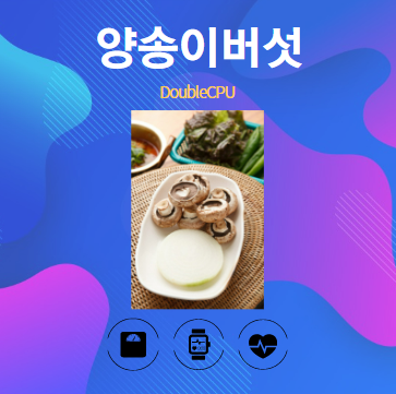 양송이버섯 알아보기