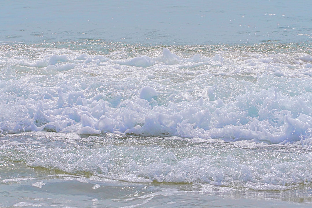 'Haeundae'
