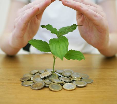 2025 민생회복 소비쿠폰 신청방법과 지급일정 총정리