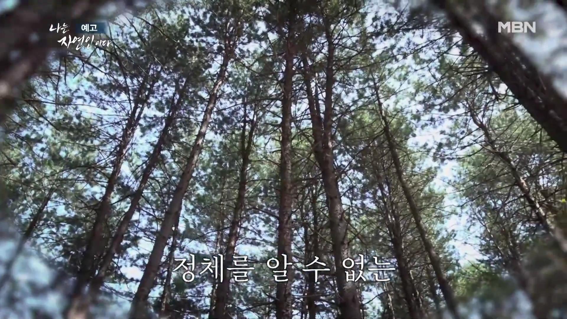 나는-자연인이다-이승윤