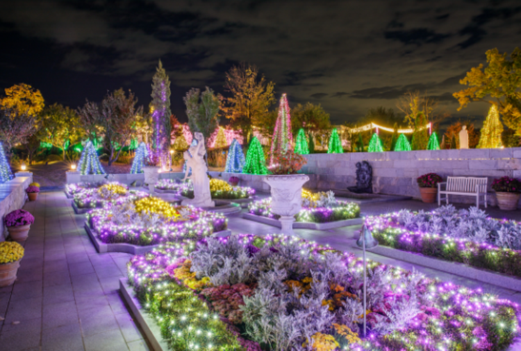 퍼스트가든 별빛축제