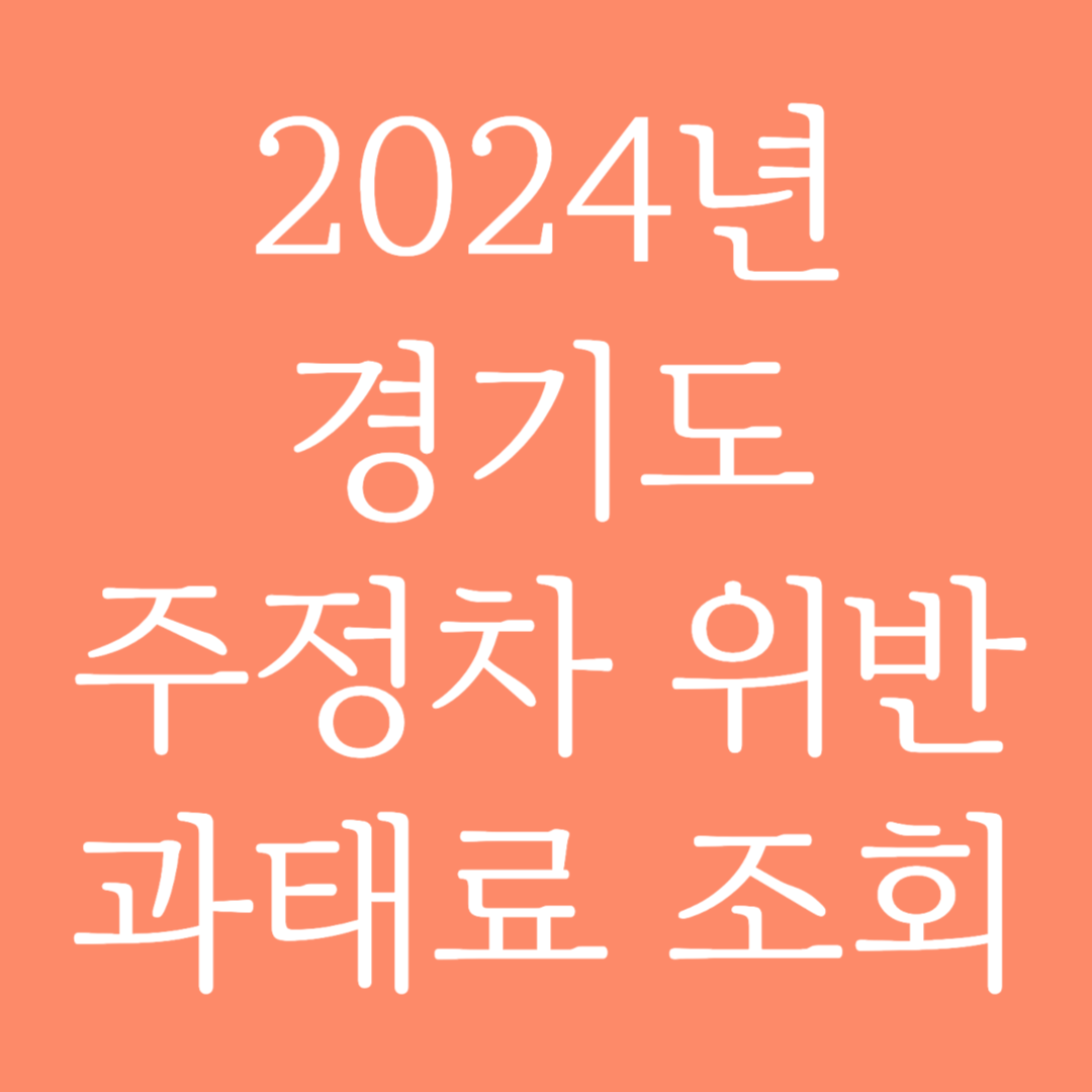 2024년 경기도 주정차 위반 과태료 조회