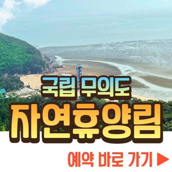 국립 무의도 자연휴양림 예약