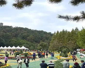 청남대 홈페이지 예약 접수_23