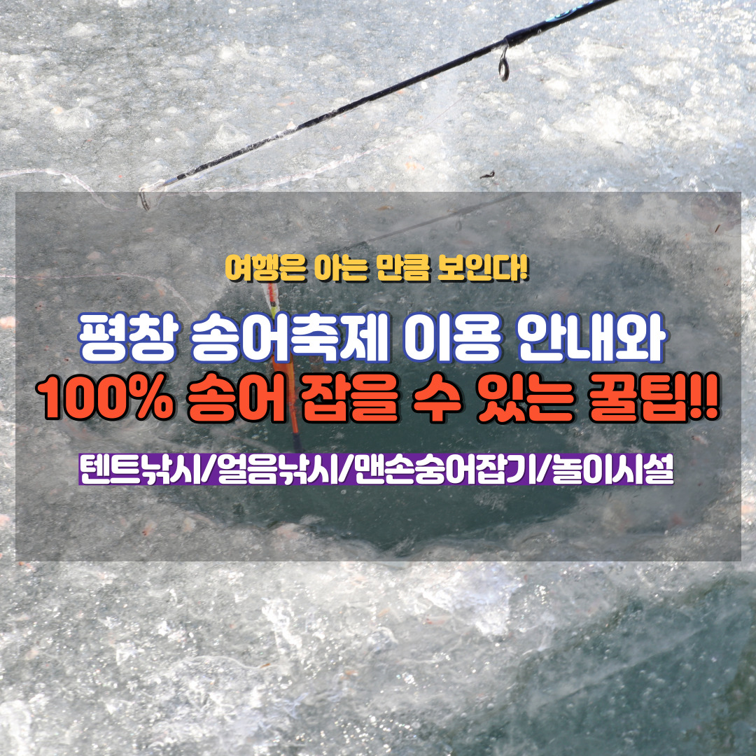 평창송어축제