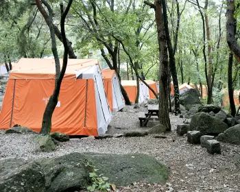 서울대공원 캠핑장 예약_23