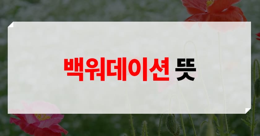 백워데이션 개념 소개