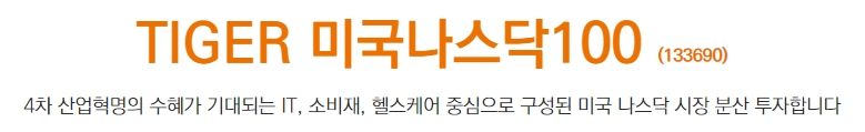 타이거 미국나스닥100