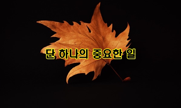 단 하나의 중요한 일