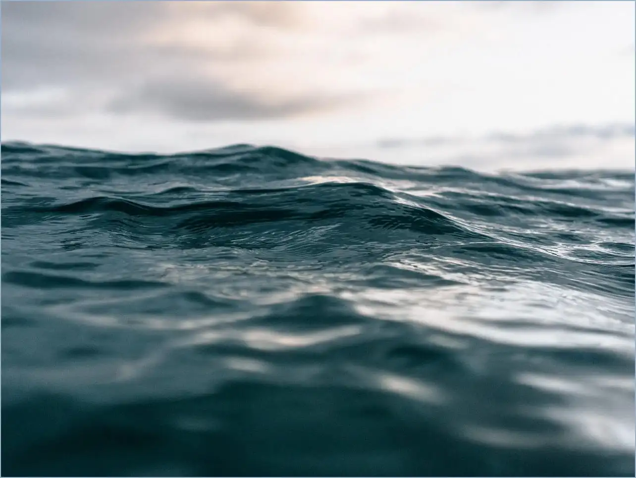 어도비 리더 다운로드