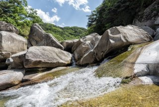말복의 유래 삼복 더위