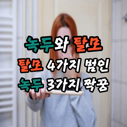 녹두와 탈모