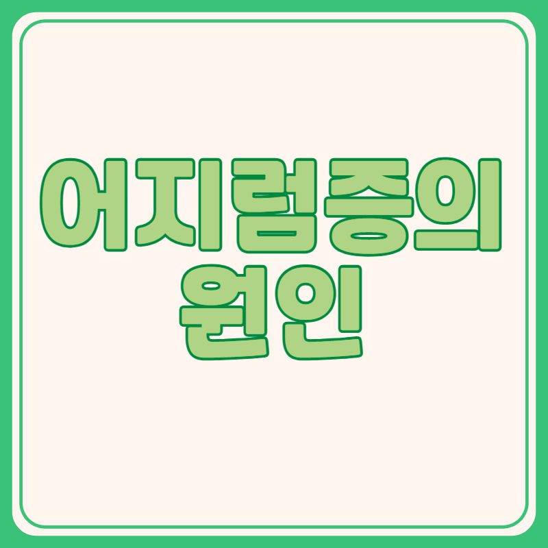 어지럼증의 원인