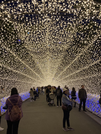 일본 나고야 나바나노사토 방문 후기/가는법