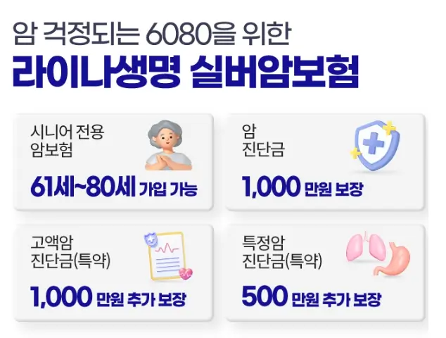 실버보험 부모님보험 시니어보험 노인보험