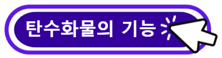 탄수화물의 종류와 기능 알아보기